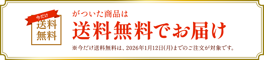 送料無料アイコンがついた商品は送料無料で お届け※今だけ送料無料は、2026年1月12日(月)までの ご注文が対象です。 