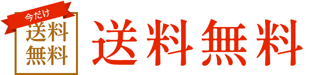 送料無料