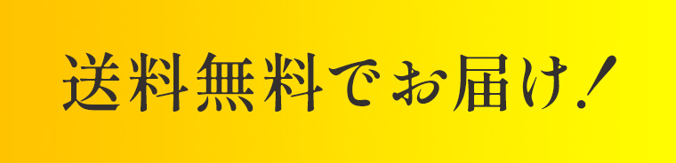 送料無料でお届け