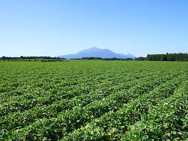 霧島山+畑の写真