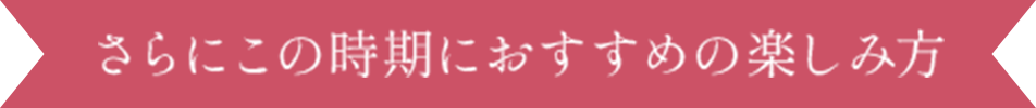 さらにこの時期におすすめの楽しみ方